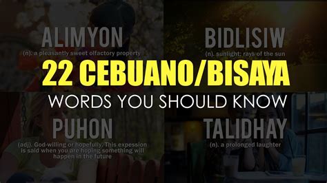 tdk meaning bisaya|Binisaya .